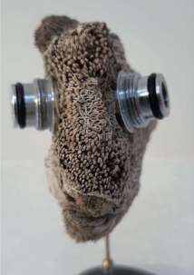 Réhumaniser la science. Jean-Pierre COURTIAL pour la Revue Hypnose & Thérapies brèves n°71. Réhumaniser la science. Jean-Pierre COURTIAL pour la Revue Hypnose & Thérapies brèves n°71.