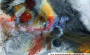 Le professionnel en supervision face à ses blocages Le professionnel en supervision face à ses blocages