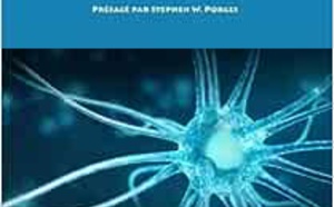Livres en bouche. Comptes rendus du Dr Julien BETBEZE, Christine GUILLOUX. Revue Hypnose et Thérapies Brèves 68 Livres en bouche. Comptes rendus du Dr Julien BETBEZE, Christine GUILLOUX. Revue Hypnose et Thérapies Brèves 68