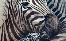 Ce que le corps ne dit pas, mais que l'hypnose écoute:croire pour transformer.